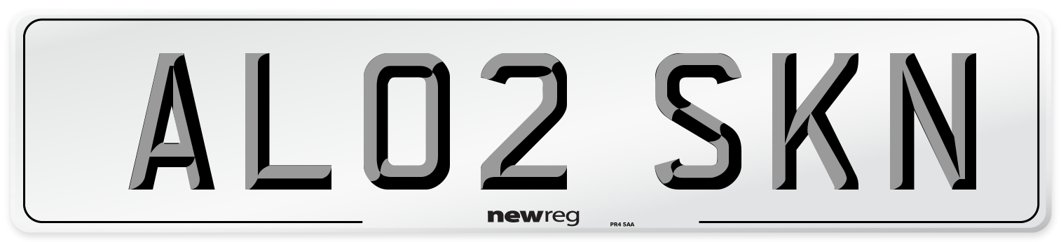 AL02 SKN Number Plate from New Reg